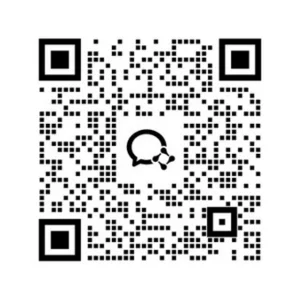 BD WEB TEK 企业微信二维码